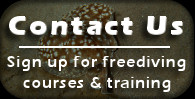 Contact Us - Sign Up for a Course